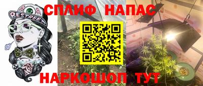 дмт Нальчик