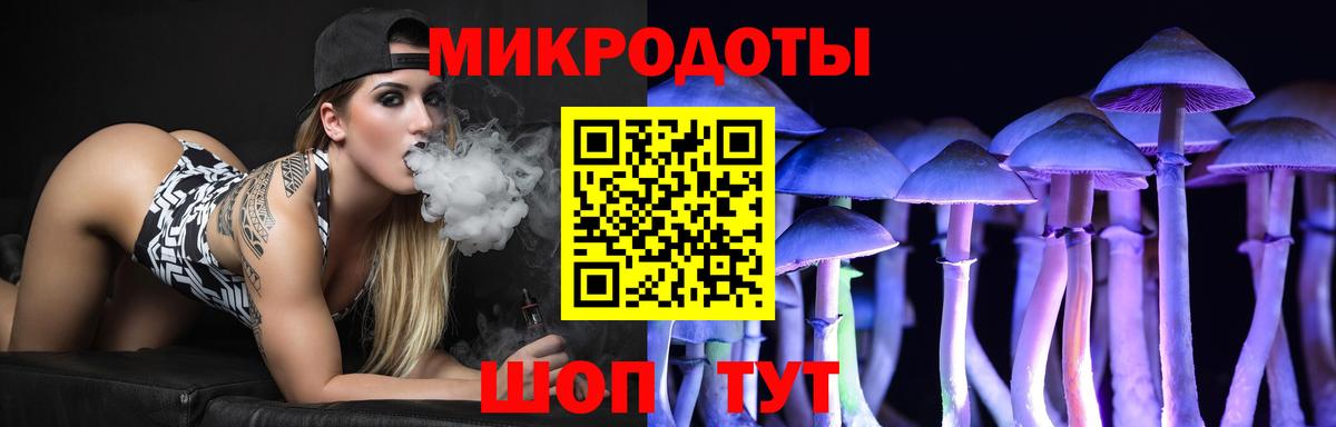 Галлюциногенные грибы GOLDEN TEACHER  Галлюциногенные грибы Magic Shrooms  Вход с VPN  Рузаевка 